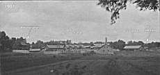 Foglavik1901x.jpg